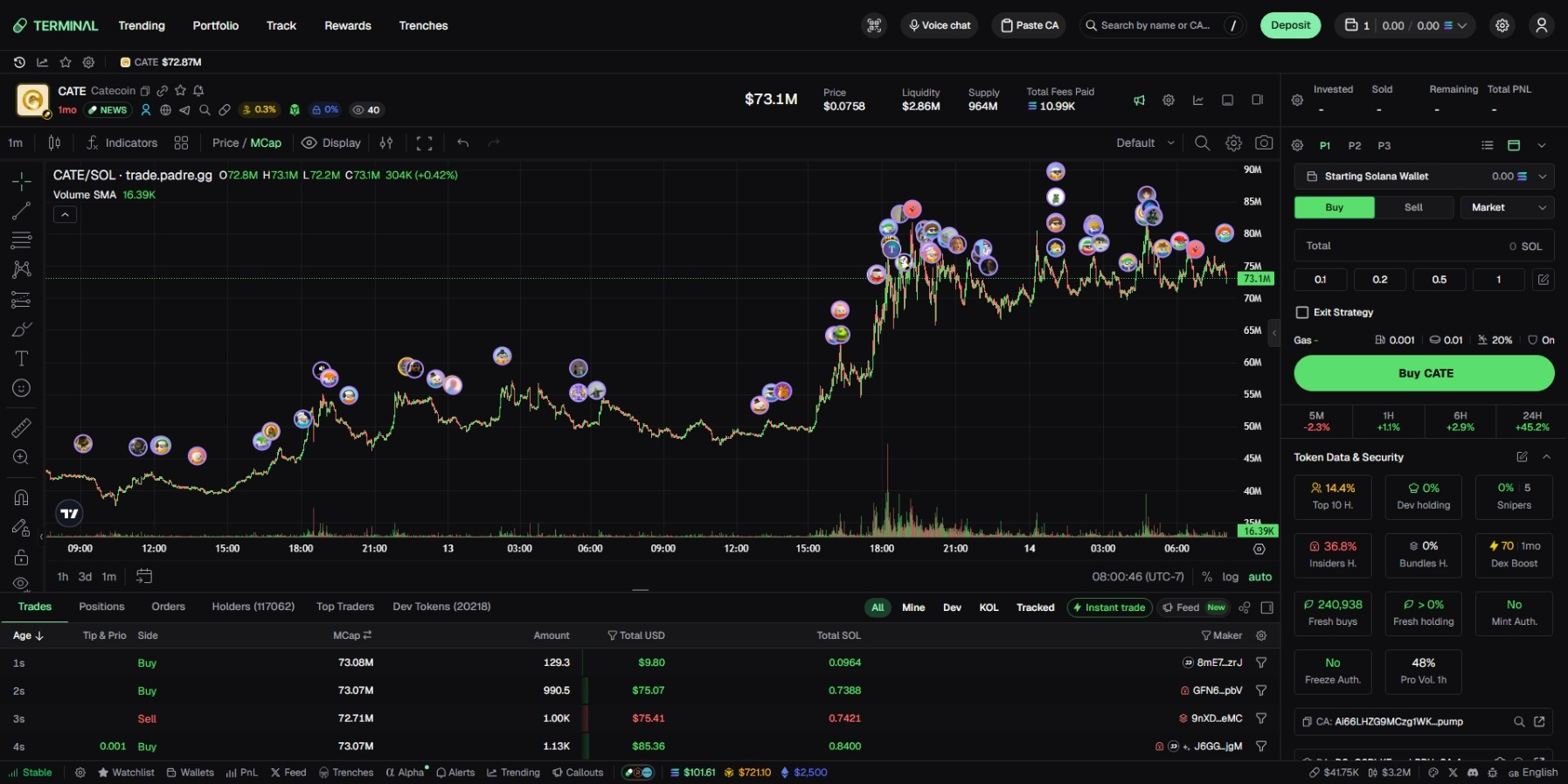 Terminal token page with a live candlestick chart, buy panel and token security metrics